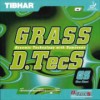 GRASS D.TecS GS