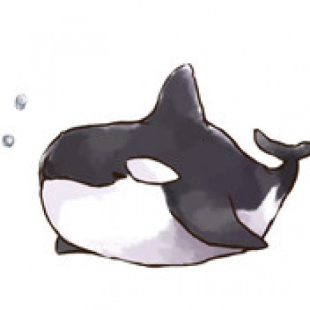 Killer whale's profile
