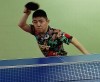 ROYAL LARGE Details about   NITTAKU Table Tennis Rubber 